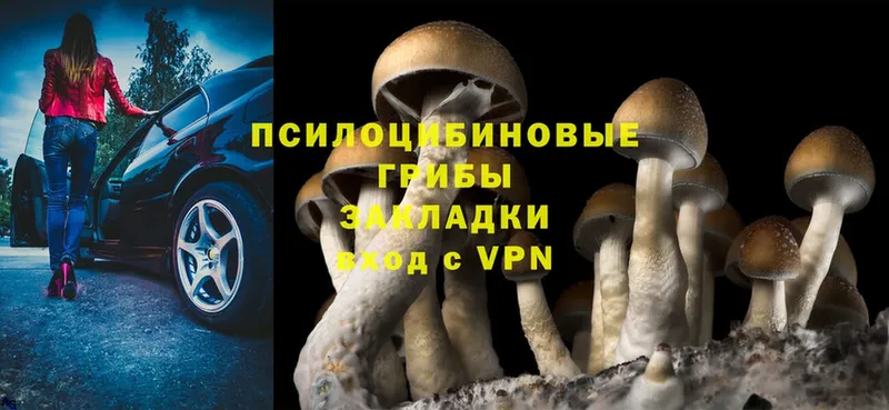 hydra вход  Верхняя Салда  Галлюциногенные грибы Magic Shrooms 